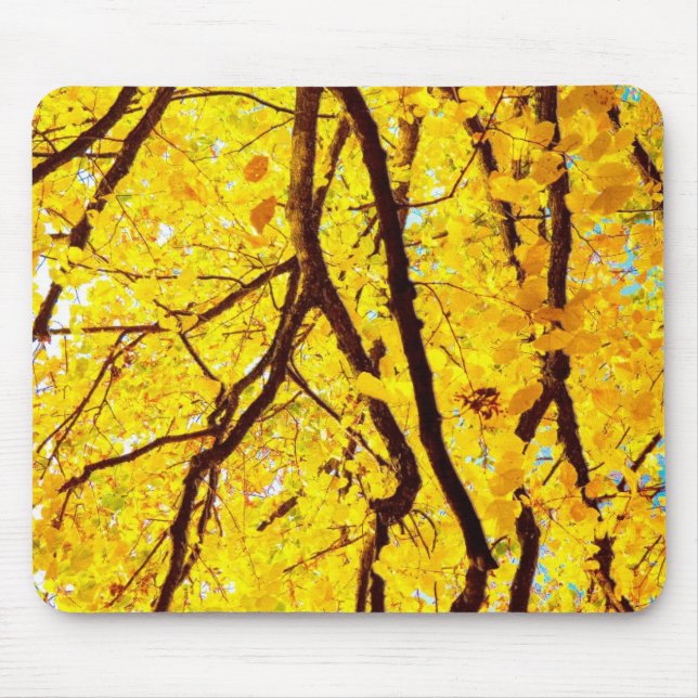 Fall grenar - guldgult musmatta (Framsidan)