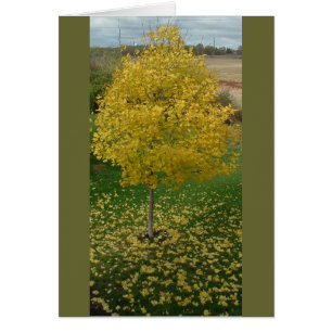 Fall Gult Löv/Träd Hälsningskort