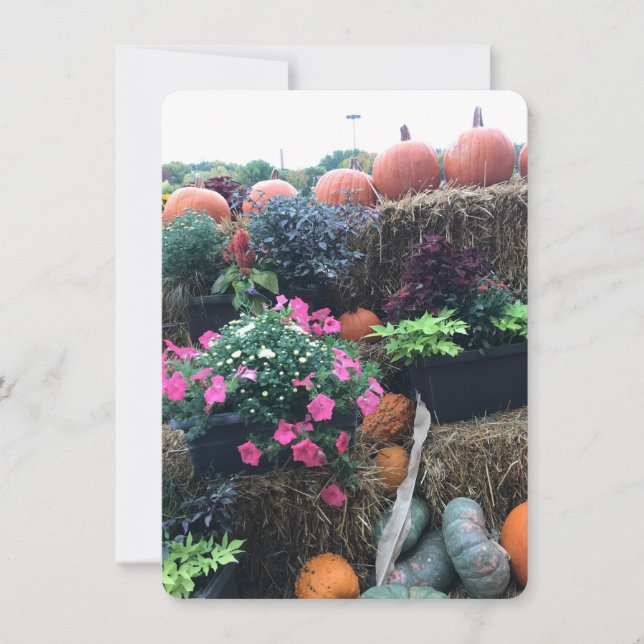 Fall Halloween Pumpkins Tack Kort (Framsida)