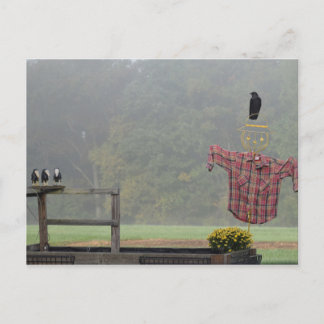 Fall Hälsning! Från Fågelskrämman! Vykort