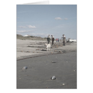 Fall Harvest OBS Kort