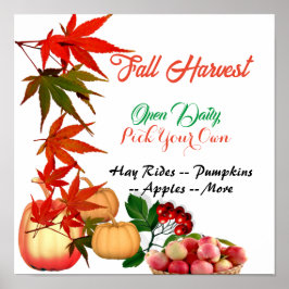 Fall Harvest Plocka Din egen Pumpkin Patch Farmhou Poster