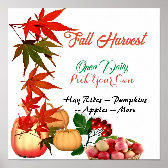 Fall Harvest Plocka Din egen Pumpkin Patch Farmhou Poster (Framsidan)