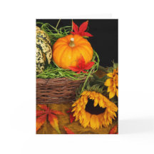 Fall Harvest Sunblommor