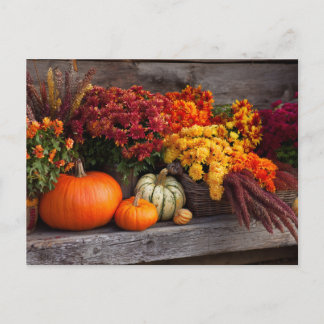 Fall Harvest Tablescape - Autumn Pumpkins Flowers Vykort