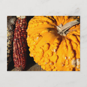 Fall Harvest Vykort