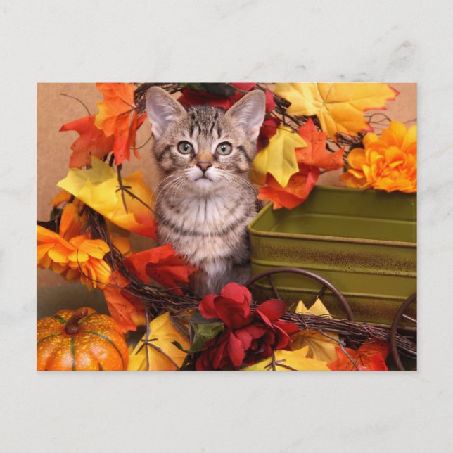 Fall Harvest Vykort (Framsida)