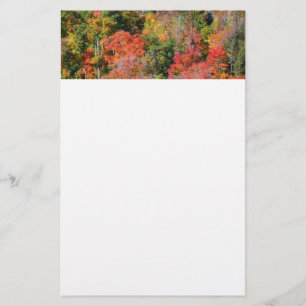 Fall Hillside Colorful Autumn Natature Photogratog Brevpapper