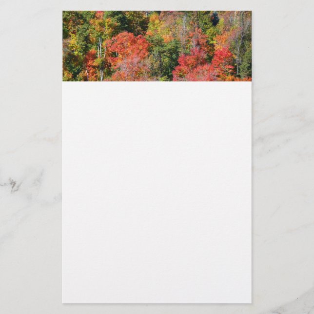 Fall Hillside Colorful Autumn Natature Photogratog Brevpapper (Framsida)
