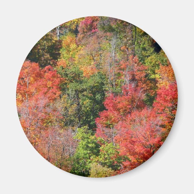 Fall Hillside Colorful Autumn Natature Photogratog Magnet (Framsidan)