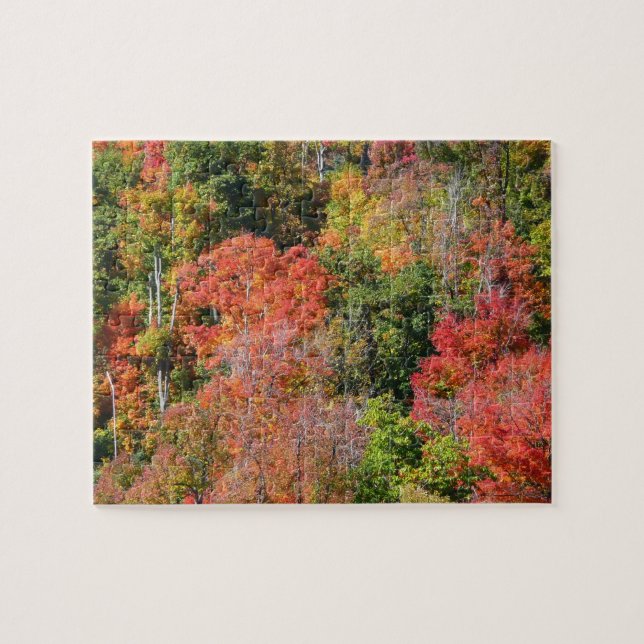 Fall Hillside Colorful Autumn Natature Photogratog Pussel (Horisontell)