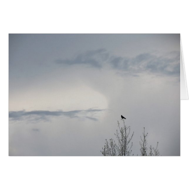 Fall Himmel 2014 Hälsningskort (Framsidan Horizontal)