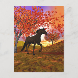 Fall Horse Vykort