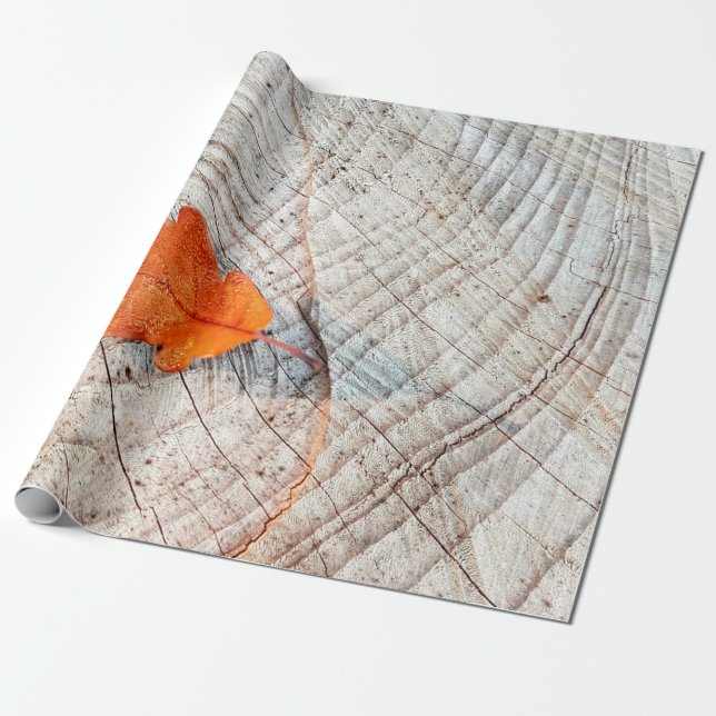 Fall höst löv ek löv presentpapper (Utrullad)