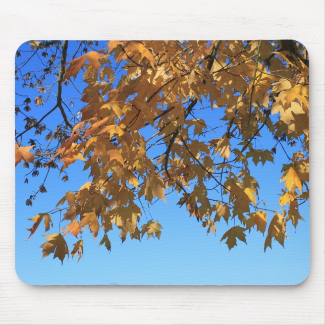Fall,höst löv,träd och blå himmel musmatta (Framsidan)