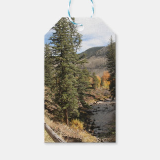 Fall i Aspen Presentetikett