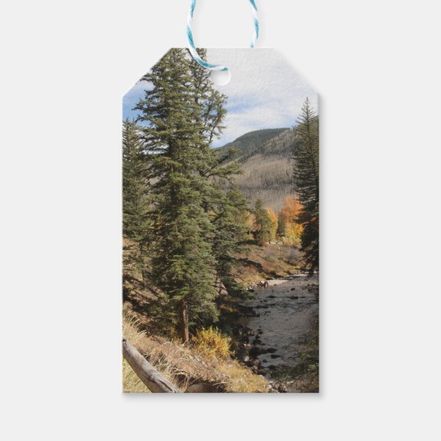 Fall i Aspen Presentetikett (Framsidan)