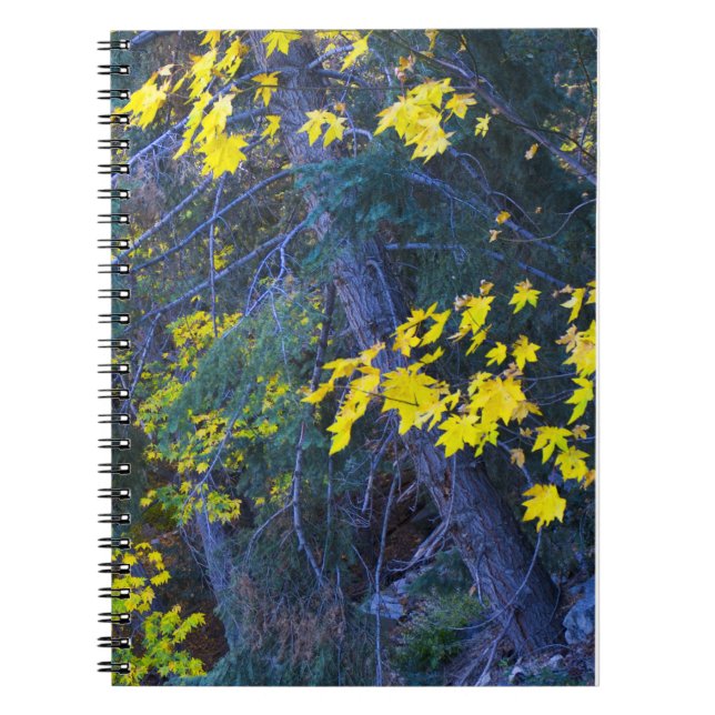 Fall i bergen 6 anteckningsbok med spiral (Framsidan)