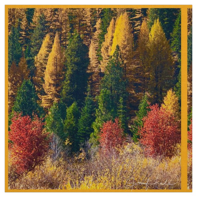 Fall i bergen tyg (Provkarta)