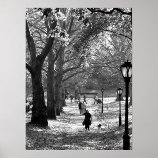 Fall i Central Park 06 25 Poster
