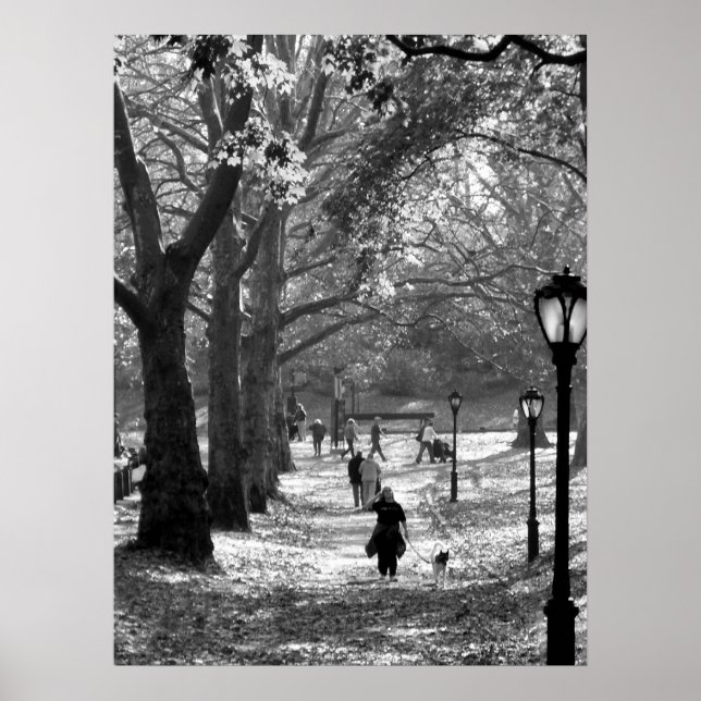 Fall i Central Park 06 25 Poster (Framsidan)