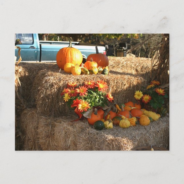 Fall i Ellington, CT. Vykort (Framsida)