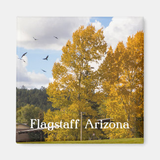 Fall i Flagstaff Arizona Magnet
