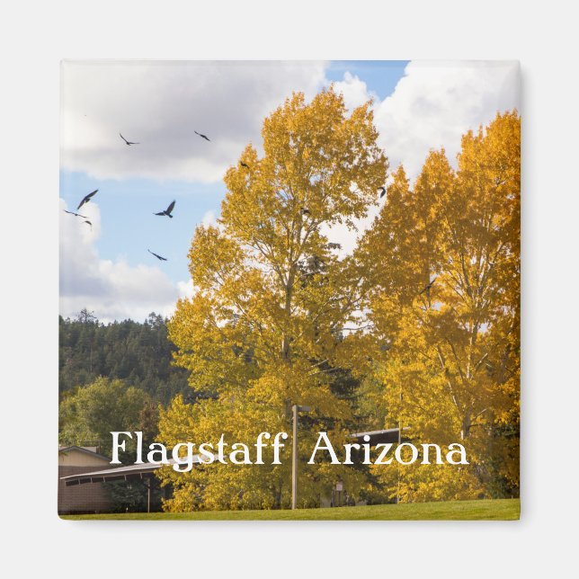 Fall i Flagstaff Arizona Magnet (Framsidan)