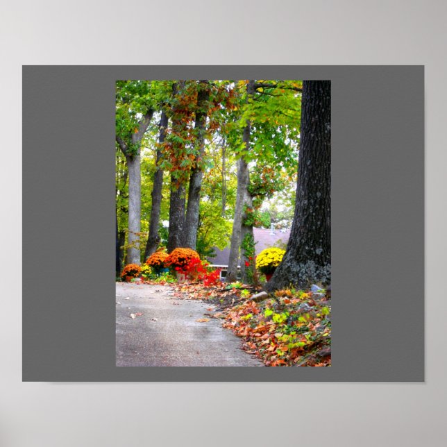 Fall i Missouri Poster (Framsidan)