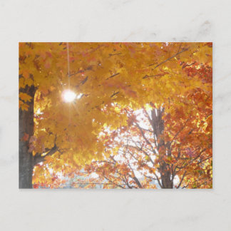 Fall i Montreal Vykort