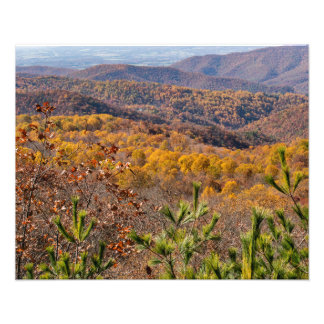Fall i nationalparken Shenandoah Fototryck