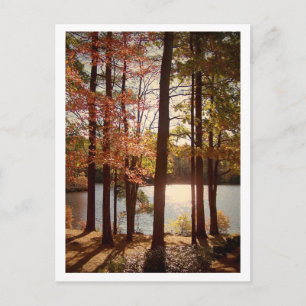 Fall i New England Vykort