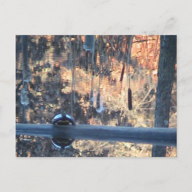 Fall i Ohio Vykort (Framsida)