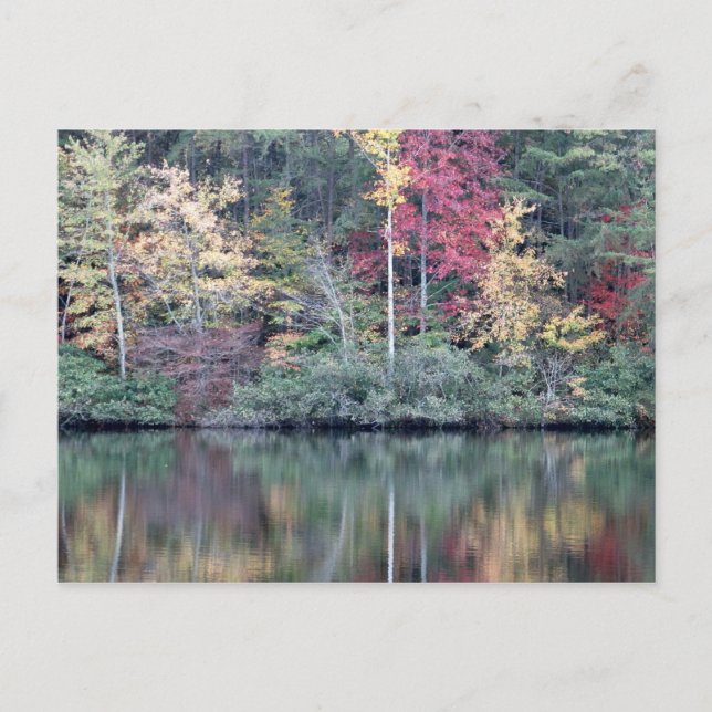 Fall i Oneida, TN Vykort (Framsida)