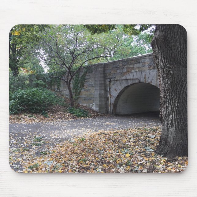 Fall i Riverside Park Stone Archway New York NYC Musmatta (Framsidan)