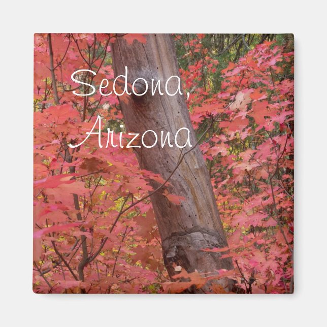 Fall i rosa i Sedona, Arizona Magnet (Framsidan)