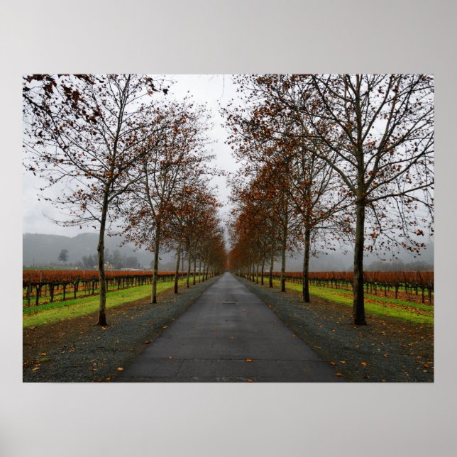 Fall i Saint Helena Poster (Framsidan)