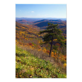 Fall i Shenandoah nationalpark, Virginia Fototryck