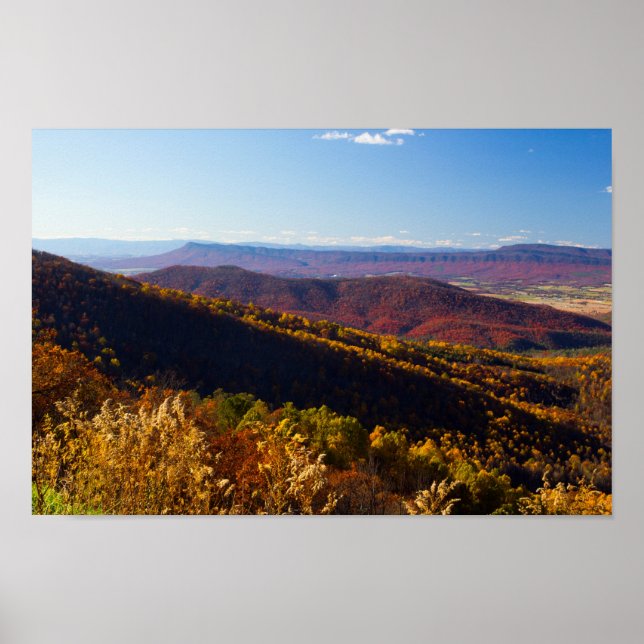 Fall i Shenandoah Valley, Virginia Poster (Framsidan)