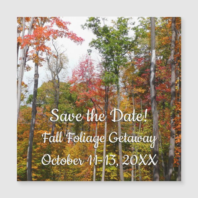 Fall i skogens färgstarka höstfotografi (Framsida)