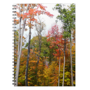 Fall i skogens färgstarka höstfotografi anteckningsbok med spiral