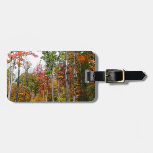Fall i skogens färgstarka höstfotografi bagagebricka