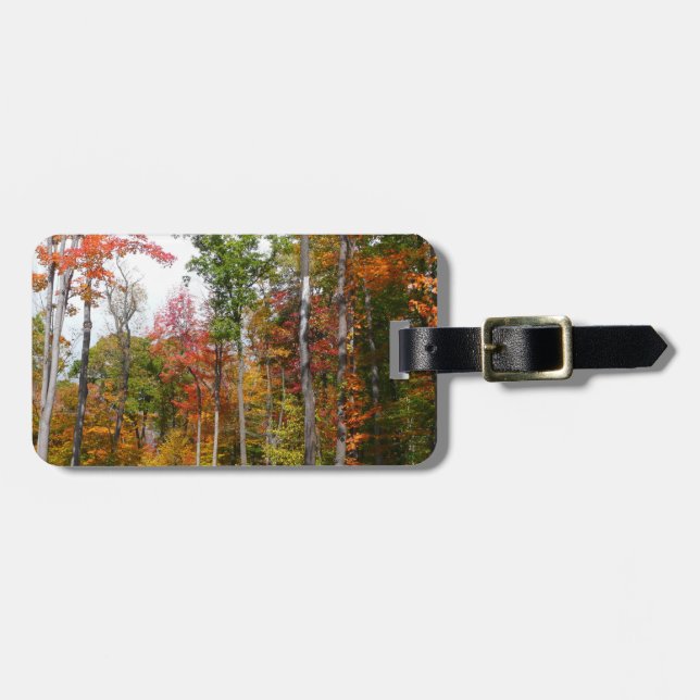Fall i skogens färgstarka höstfotografi bagagebricka (Horisontell Framsida)