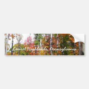 Fall i skogens färgstarka höstfotografi bildekal
