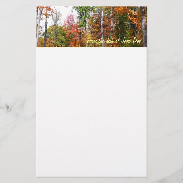 Fall i skogens färgstarka höstfotografi brevpapper (Framsida)