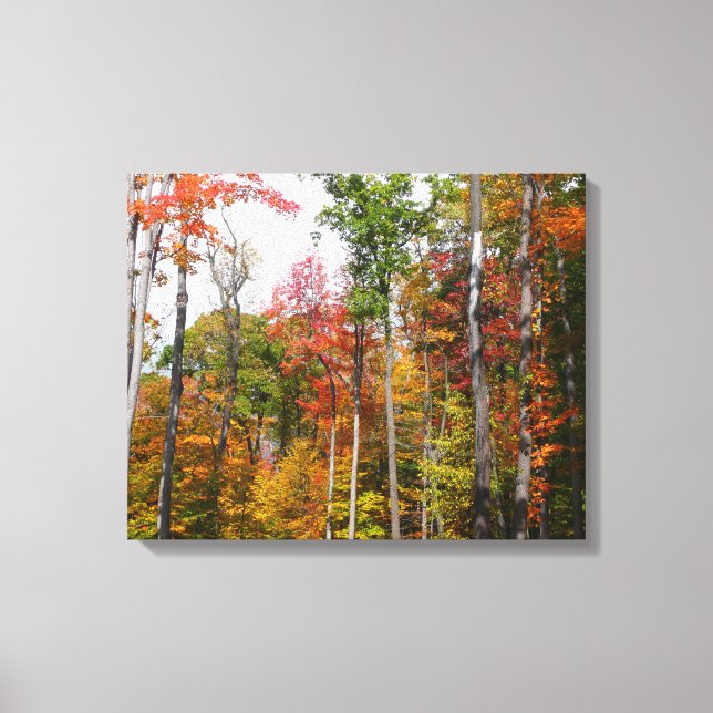 Fall i skogens färgstarka höstfotografi canvastryck (Framsida)