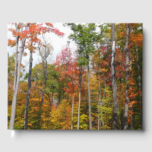 Fall i skogens färgstarka höstfotografi gästböcker