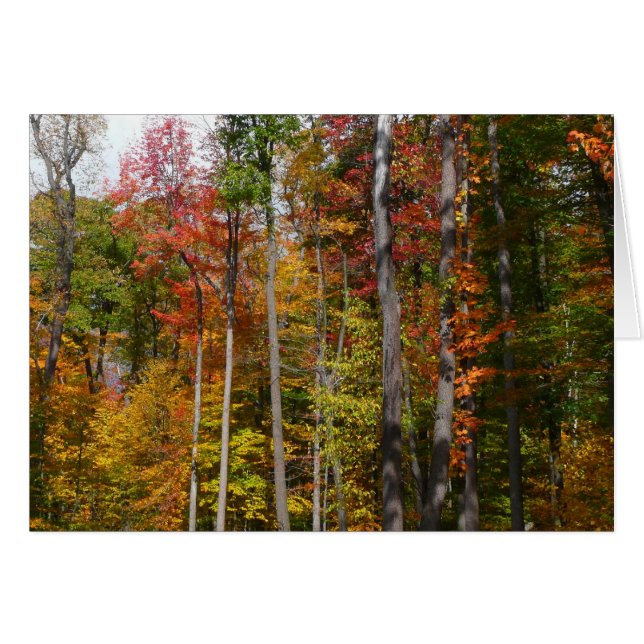 Fall i skogens färgstarka höstfotografi hälsningskort (Framsidan Horizontal)
