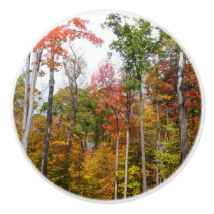 Fall i skogens färgstarka höstfotografi knopp