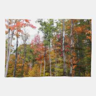 Fall i skogens färgstarka höstfotografi kökshandduk